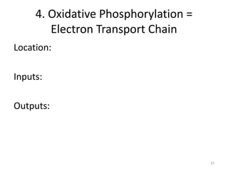 4. Oxidative Phosphorylation =
Electron Transport Chain
Location:
Inputs:
Outputs:
37
 