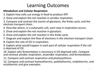 Learning Outcomes
Metabolism and Cellular Respiration
1. Explain how cells use energy in food to produce ATP.
2. Draw and explain the net reaction in aerobic respiration.
3. Compare and contrast the events of glycolysis, the Krebs cycle, and the
electron transport chain.
4. Describe where, in a eukaryotic cell, each step in respiration occurs.
5. Draw and explain the net reaction in glycolysis.
6. Draw and explain the net reaction in the Krebs cycle.
7. Diagram and explain the flow of electrons in the electron transport chain.
8. Explain the role of O2 in respiration.
9. Explain what would happen in each part of cellular respiration if the cell
is deprived of O2.
10. Explain why fermentation is necessary in O2 deprived cells. Compare
and contrast aerobic respiration, anaerobic respiration, and fermentation.
11. Compare and contrast respiration and photosynthesis.
12. Compare and contrast homeothermic, poikilothermic, endothermic, and
ectothermic and give examples.
4
 