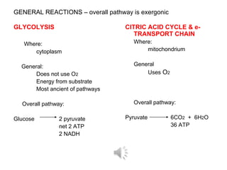GENERAL REACTIONS – overall pathway is exergonic

GLYCOLYSIS                        CITRIC ACID CYCLE & e-
                                     TRANSPORT CHAIN
   Where:                            Where:
      cytoplasm                          mitochondrium


  General:                           General
       Does not use O2                   Uses O2
       Energy from substrate
       Most ancient of pathways

  Overall pathway:                   Overall pathway:

Glucose         2 pyruvate        Pyruvate         6CO2 + 6H2O
                net 2 ATP                          36 ATP
                2 NADH
 