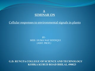 A
SEMINAR ON
Cellular responses to environmental signals in plants
BY-
MISS HUMA NAZ SIDDIQUI
(ASST. PROF.)
G.D. RUNGTA COLLEGE OF SCIENCE AND TECHNOLOGY
KOHKA KURUD ROAD BHILAI, 490023
 