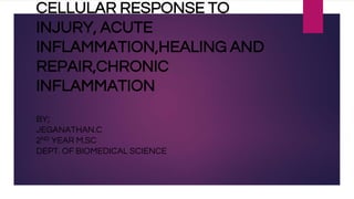 CELLULAR RESPONSE TO
INJURY, ACUTE
INFLAMMATION,HEALING AND
REPAIR,CHRONIC
INFLAMMATION
BY;
JEGANATHAN.C
2ND YEAR M.SC
DEPT. OF BIOMEDICAL SCIENCE
 