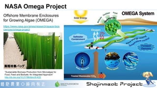 NASA Omega Project
Offshore Membrane Enclosures
for Growing Algae (OMEGA)
https://www.nasa.gov/ames/research/space-bios
ci...
