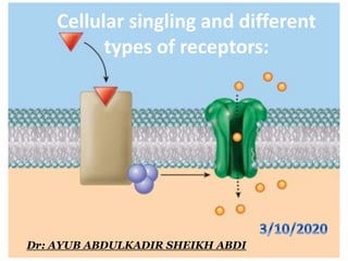 Cellular singling and different
types of receptors:
Dr: AYUB ABDULKADIR SHEIKH ABDI
 