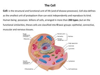The Cell
Cell: is the structural and functional unit of life (and of disease processes). Cell also defines
as the smallest unit of protoplasm than can exist independently and reproduce its kind.
Human being possesses billions of cells, arranged in more than 200 types ,but on the
functional similarities, theses cells are classified into 4 basic groups: epithelial, connective,
muscular and nervous tissues.
 