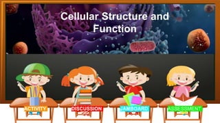 Cellular Structure and
Function
Cellular Structure and
Function
ACTIVITY DISCUSSION JAMBOARD ASSESSMENT
 
