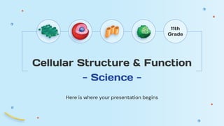 11th
Grade
Cellular Structure & Function
- Science -
Here is where your presentation begins
 