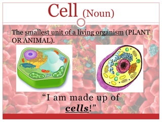 Cell (Noun) 
The smallest unit of a living organism (PLANT 
OR ANIMAL). 
“I am made up of 
cells!” 
 
