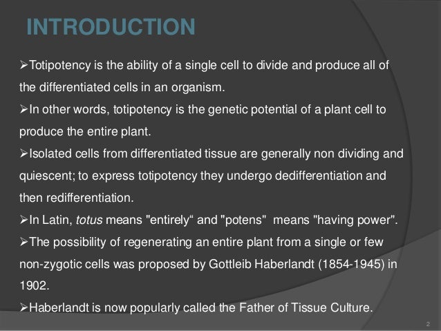 Cellular Totipotency In Plants