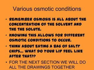 Various osmotic conditions
• Remember osmosis is all about the
  concentration of the solvent and
  the the solute.
• Knowing this allows for different
  osmotic conditions to occur.
• Think about eating a bag of salty
  chips… what do your lip feel like
  after that??
• FOR THE NEXT SECTION WE WILL DO
  ALL THE DRAWINGS TOGETHER
 