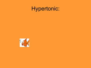 Hypertonic:
 