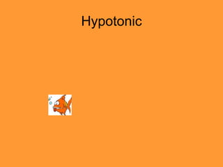 Hypotonic
 