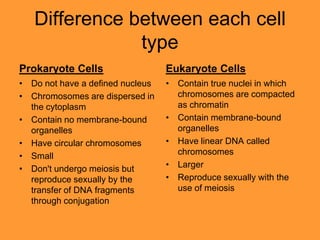 Difference between each cell
               type
Prokaryote Cells                  Eukaryote Cells
• Do not have a defined nucleus   • Contain true nuclei in which
• Chromosomes are dispersed in      chromosomes are compacted
  the cytoplasm                     as chromatin
• Contain no membrane-bound       • Contain membrane-bound
  organelles                        organelles
• Have circular chromosomes       • Have linear DNA called
• Small                             chromosomes
• Don't undergo meiosis but       • Larger
  reproduce sexually by the       • Reproduce sexually with the
  transfer of DNA fragments         use of meiosis
  through conjugation
 