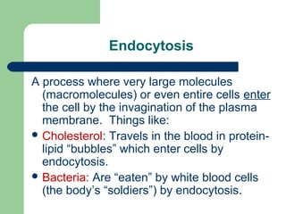 Endocytosis
A process where very large molecules
(macromolecules) or even entire cells enter
the cell by the invagination of the plasma
membrane. Things like:
 Cholesterol: Travels in the blood in protein-
lipid “bubbles” which enter cells by
endocytosis.
 Bacteria: Are “eaten” by white blood cells
(the body’s “soldiers”) by endocytosis.
 
