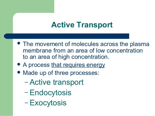 Cellular Transport