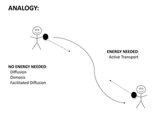 NO ENERGY NEEDED:
Diffusion
Osmosis
Facilitated Diffusion
ENERGY NEEDED:
Active Transport
ANALOGY:
 