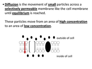•Diffusion is the movement of small particles across a
selectively permeable membrane like the cell membrane
until equilibrium is reached.
These particles move from an area of high concentration
to an area of low concentration.
outside of cell
inside of cell
 
