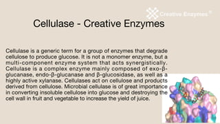 Cellulase - Creative Enzymes
Cellulase is a generic term for a group of enzymes that degrade
cellulose to produce glucose. It is not a monomer enzyme, but a
multi-component enzyme system that acts synergistically.
Cellulase is a complex enzyme mainly composed of exo-β-
glucanase, endo-β-glucanase and β-glucosidase, as well as a
highly active xylanase. Cellulases act on cellulose and products
derived from cellulose. Microbial cellulase is of great importance
in converting insoluble cellulose into glucose and destroying the
cell wall in fruit and vegetable to increase the yield of juice.
 