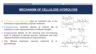 commercial production of cellulase enzyme and its uses | PPT