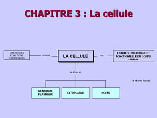 CHAPITRE 3 : La cellule
 