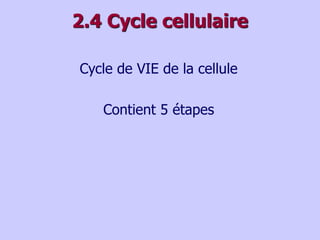 2.4 Cycle cellulaire
Cycle de VIE de la cellule
Contient 5 étapes
 
