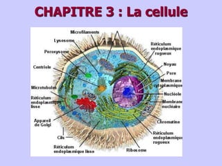 CHAPITRE 3 : La cellule
 