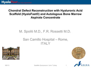 Chondral Defect Reconstruction with Hyaluronic Acid
Scaffold (HyaloFast®) and Autologous Bone Marrow
Aspirate Concentrate

M. Spoliti M.D., F.R. Rossetti M.D.
San Camillo Hospital – Rome,
ITALY

9/6/13

Satellite Symposium, Izmir Turkey

1

 