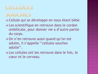Cellules souchesCellule qui se développe en nous étant bébé. Les scientifique en retrouve dans le cordon ombilicale, pour donner vie a d’autre partie du corps.On n’en retrouve aussi quand qu’on est adulte, il s’appelle ‘‘cellules souches adulte’’. Les cellules ont les retrouve dans le fois, le cœur et le cerveau.