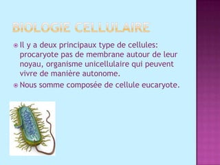 Biologie cellulaireIl y a deux principaux type de cellules: procaryote pas de membrane autour de leur noyau, organisme unicellulaire qui peuvent vivre de manière autonome. Nous somme composée de cellule eucaryote.