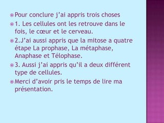 Pour conclure j’ai appris trois choses 1. Les cellules ont les retrouve dans le fois, le cœur et le cerveau.2.J’ai aussi appris que la mitose a quatre étape La prophase, La métaphase, Anaphase et Télophase.3. Aussi j’ai appris qu’il a deux différent type de cellules.Merci d’avoir pris le temps de lire ma présentation.