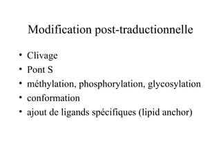 Modification post-traductionnelle
• Clivage
• Pont S
• méthylation, phosphorylation, glycosylation
• conformation
• ajout de ligands spécifiques (lipid anchor)
 