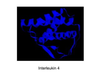 Interleukin 4
 