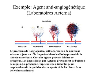 Exemple: Agent anti-angiogénétique
(Laboratoires Aeterna)
Le processus de l’angiogénèse, soit la formation de nouveaux
vaisseaux, joue un rôle important dans le développement de la
tumeur cancéreuse. Certains agents peuvent inhiber ce
processus. Les agents isolés par Aeterna proviennent de l’aileron
de requin. La prochaine étape consiste à isoler les gènes
responsables de la synthèse de ces agents et de les cloner dans
des cellules animales.
 