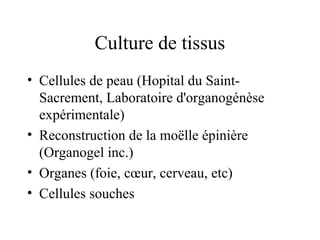 Culture de tissus
• Cellules de peau (Hopital du Saint-
Sacrement, Laboratoire d'organogénèse
expérimentale)
• Reconstruction de la moëlle épinière
(Organogel inc.)
• Organes (foie, cœur, cerveau, etc)
• Cellules souches
 