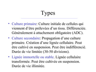 Types
• Culture primaire: Culture initiale de cellules qui
viennent d’être prélevées d’un tissu. Différenciée.
Généralement à attachement obligatoire (ADC).
• Culture secondaire: Propagation d’une culture
primaire. Création d’une lignée cellulaire. Peut
être cultivé en suspension. Peut être indifférencié.
Durée de vie limitée (30-50 divisions).
• Lignée immortelle ou stable. Lignée cellulaire
transformée. Peut être cultivée en suspension.
Durée de vie illimitée.
 