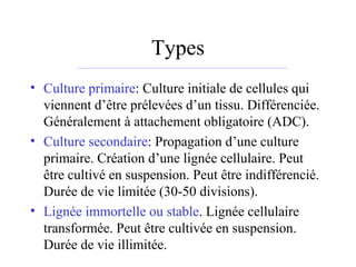 Types
• Culture primaire: Culture initiale de cellules qui
viennent d’être prélevées d’un tissu. Différenciée.
Généralemen...