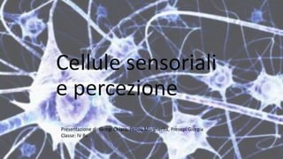 Cellule sensoriali
e percezione
Presentazione di: Giorgi Chiara, Pepoli Margherita, Presepi Giorgia
Classe: IV Bc
 