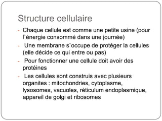 Structure cellulaireChaque cellule est comme une petite usine (pour l`énergie consommé dans une journée)