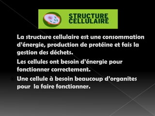 La structure cellulaire est une consommation d’énergie, production de protéine et fais la gestion des déchets. Les cellules ont besoin d’énergie pour fonctionner correctement. Une cellule à besoin beaucoup d’organites pour  la faire fonctionner.