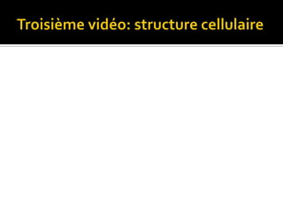 Troisième vidéo: structure cellulaire