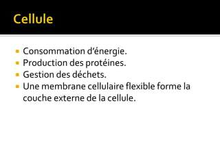 CelluleConsommation d’énergie.Production des protéines.Gestion des déchets.Une membrane cellulaire flexible forme la couche externe de la cellule.