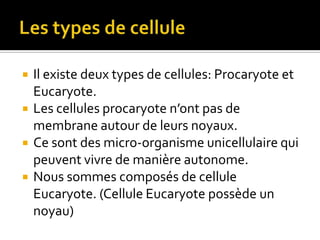 Les types de celluleIl existe deux types de cellules: Procaryote et Eucaryote.Les cellules procaryote n’ont pas de membrane autour de leurs noyaux.Ce sont des micro-organisme unicellulaire qui peuvent vivre de manière autonome.Nous sommes composés de cellule Eucaryote. (Cellule Eucaryote possède un noyau)