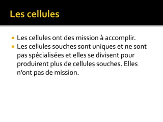 Les cellulesLes cellules ont des mission à accomplir.Les cellules souches sont uniques et ne sont pas spécialisées et elles se divisent pour produirent plus de cellules souches. Elles n’ont pas de mission.