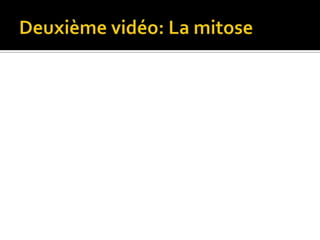 Deuxième vidéo: La mitose
