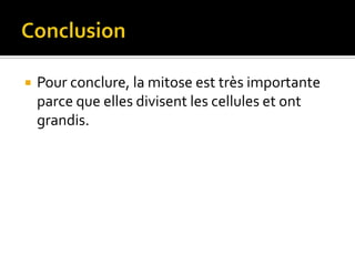 ConclusionPour conclure, la mitose est très importante parce que elles divisent les cellules et ont grandis.
