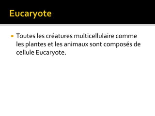 EucaryoteToutes les créatures multicellulaire comme les plantes et les animaux sont composés de cellule Eucaryote.