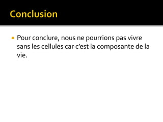 Conclusion Pour conclure, nous ne pourrions pas vivre sans les cellules car c’est la composante de la vie.