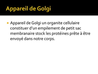 Appareil de GolgiAppareil de Golgi un organite cellulaire constituer d’un empilement de petit sac membranaire stock les protéines prête à être envoyé dans notre corps.