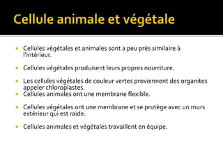 Cellule animale et végétaleCellules végétales et animales sont a peu près similaire à l’intérieur.Cellules végétales produisent leurs propres nourriture.Les cellules végétales de couleur vertes proviennent des organites appeler chloroplastes.Cellules animales ont une membrane flexible.Cellules végétales ont une membrane et se protège avec un murs extérieur qui est raide.Cellules animales et végétales travaillent en équipe.