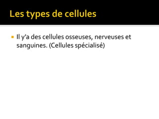 Les types de cellulesIl y’a des cellules osseuses, nerveuses et sanguines. (Cellules spécialisé)