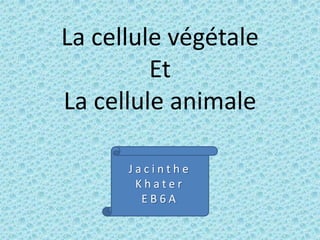 La cellule végétale
Et
La cellule animale
Jacinthe
Khater
EB6A

 